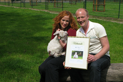 animal sponsorchip, charity